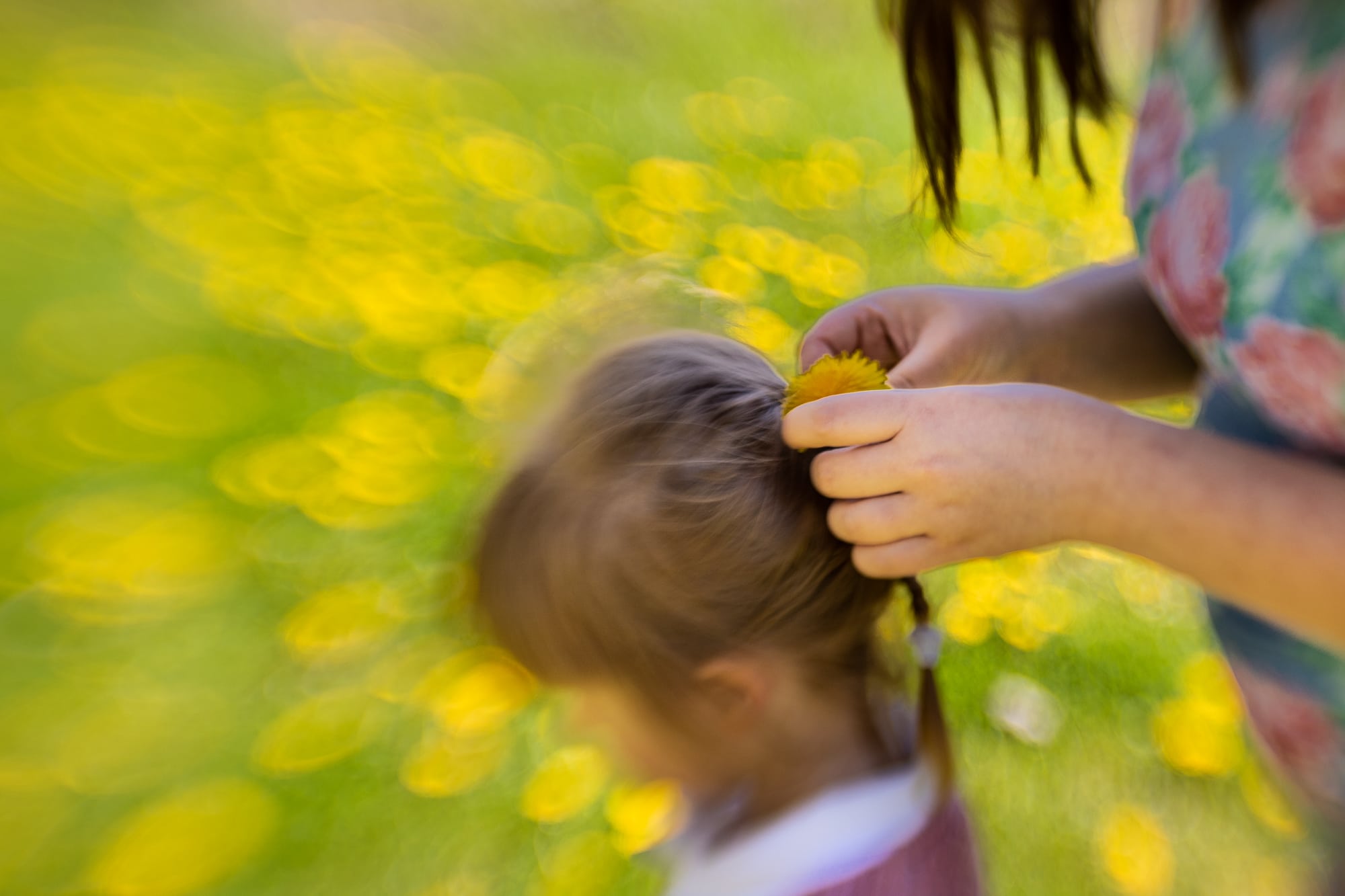 Mère enceinte met des pisenlits jaunes dans les cheveux de sa fille